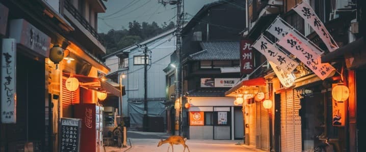 Japanese Utilities Confident in Replacing Russian LNG