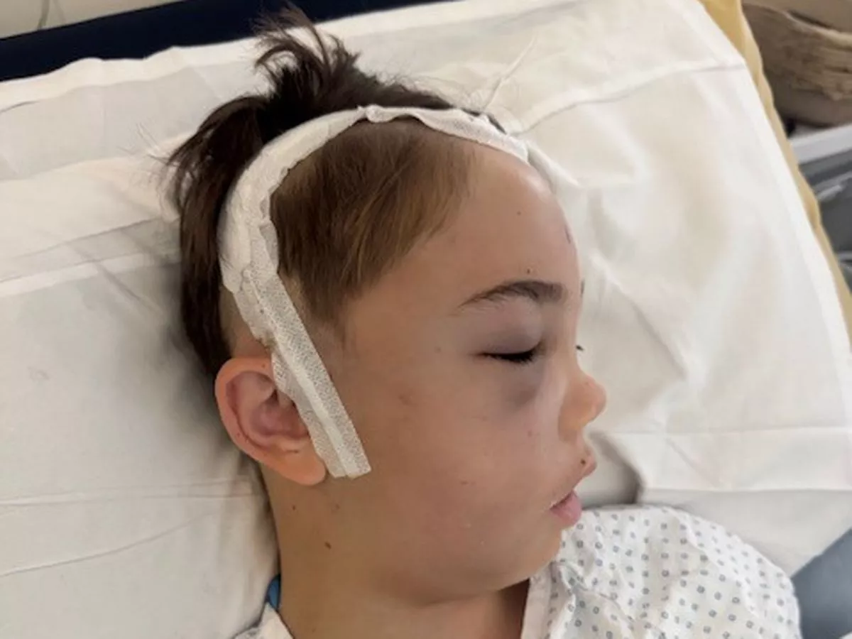 'My son, 11, woke up blind - months later doctors gave us a horrifying diagnosis'