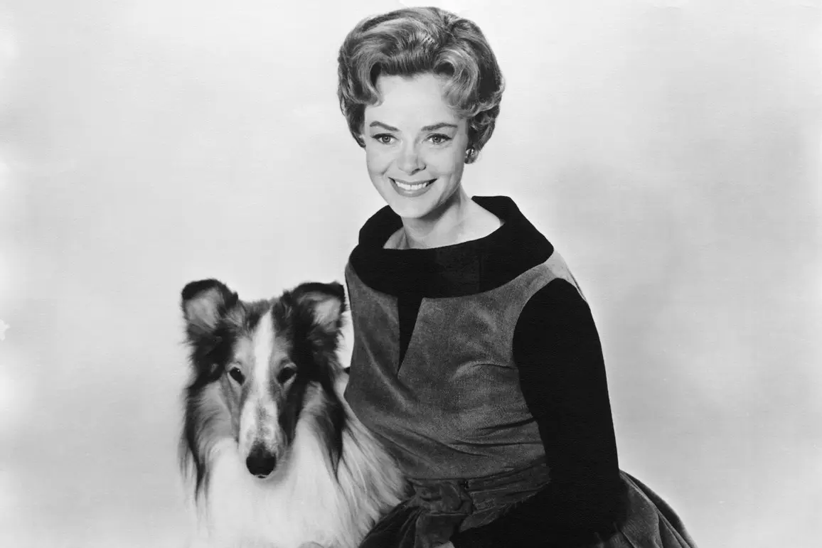 R.I.P. June Lockhart: ‘Lassie’ and ‘Lost in Space’ Star Dead at 100