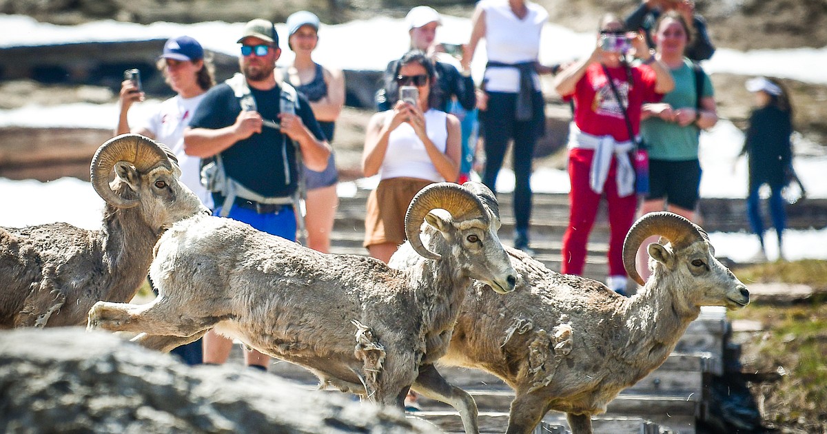 Social media's negative impacts on Glacier highlighted by outdoor summit speakers