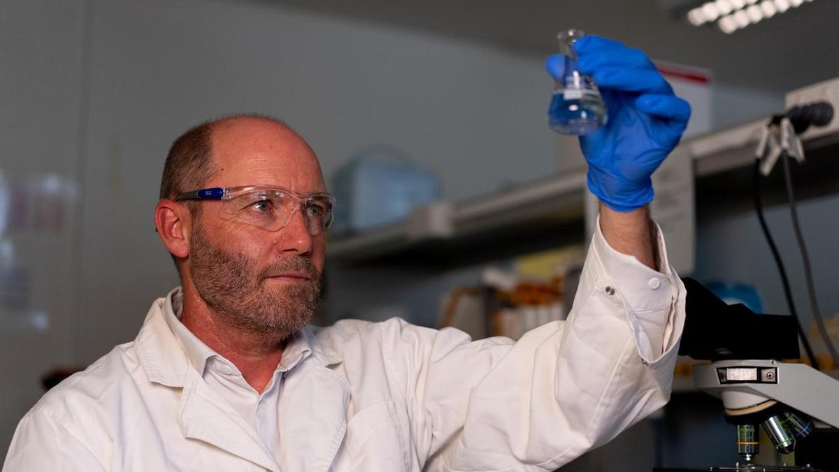 Forever chemicals linked to impact on male fertility