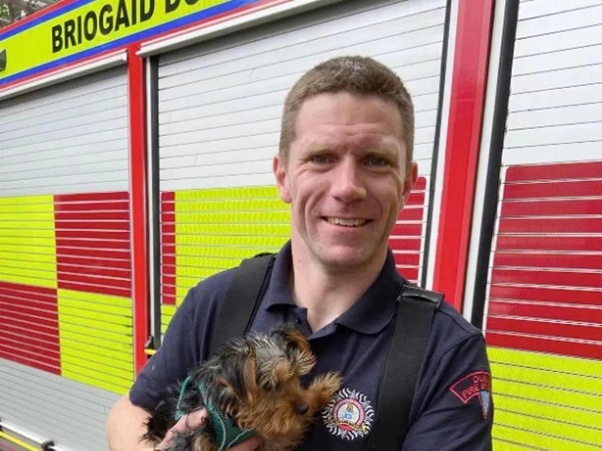 Rapist fireman claimed popular holiday destination was 'rape capital of Europe'