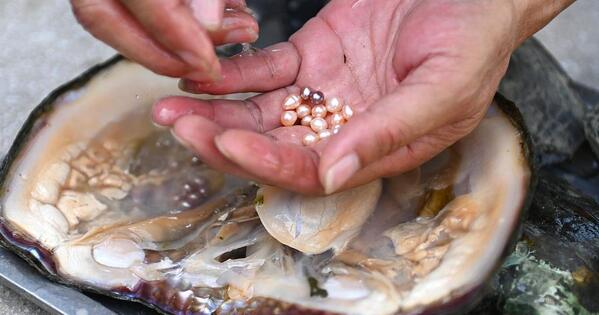 Pearls and socks: East China city's dual global triumphs