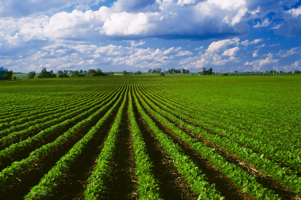 Can We Produce More Food With Less Land?