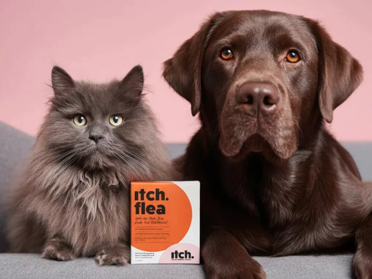 Owners urged to do one thing to protect pets as vet warns of ‘dangerous’ risk