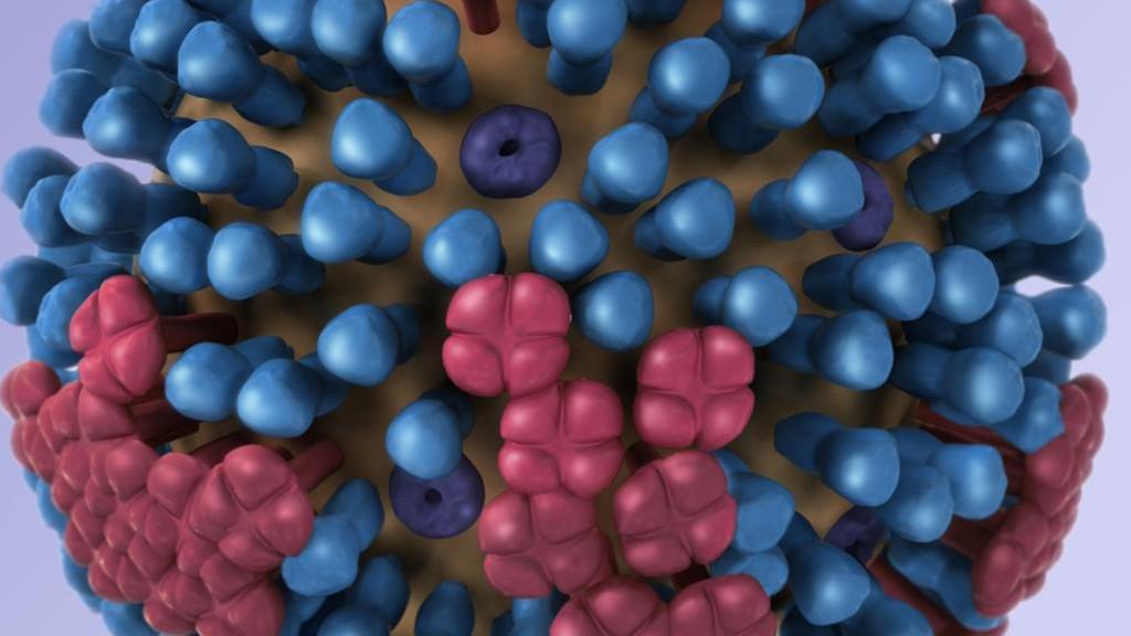 Northern Territory doctors call for needle-free vaccines as flu outbreak takes 14 lives