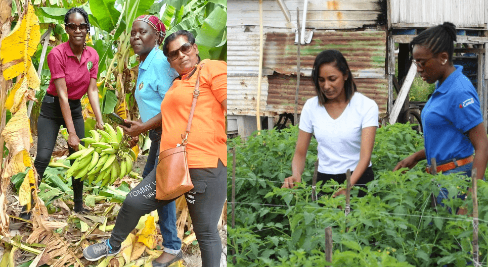 By 2030, at least 50% of newly-established agri businesses must be led by women & youths – Mustapha