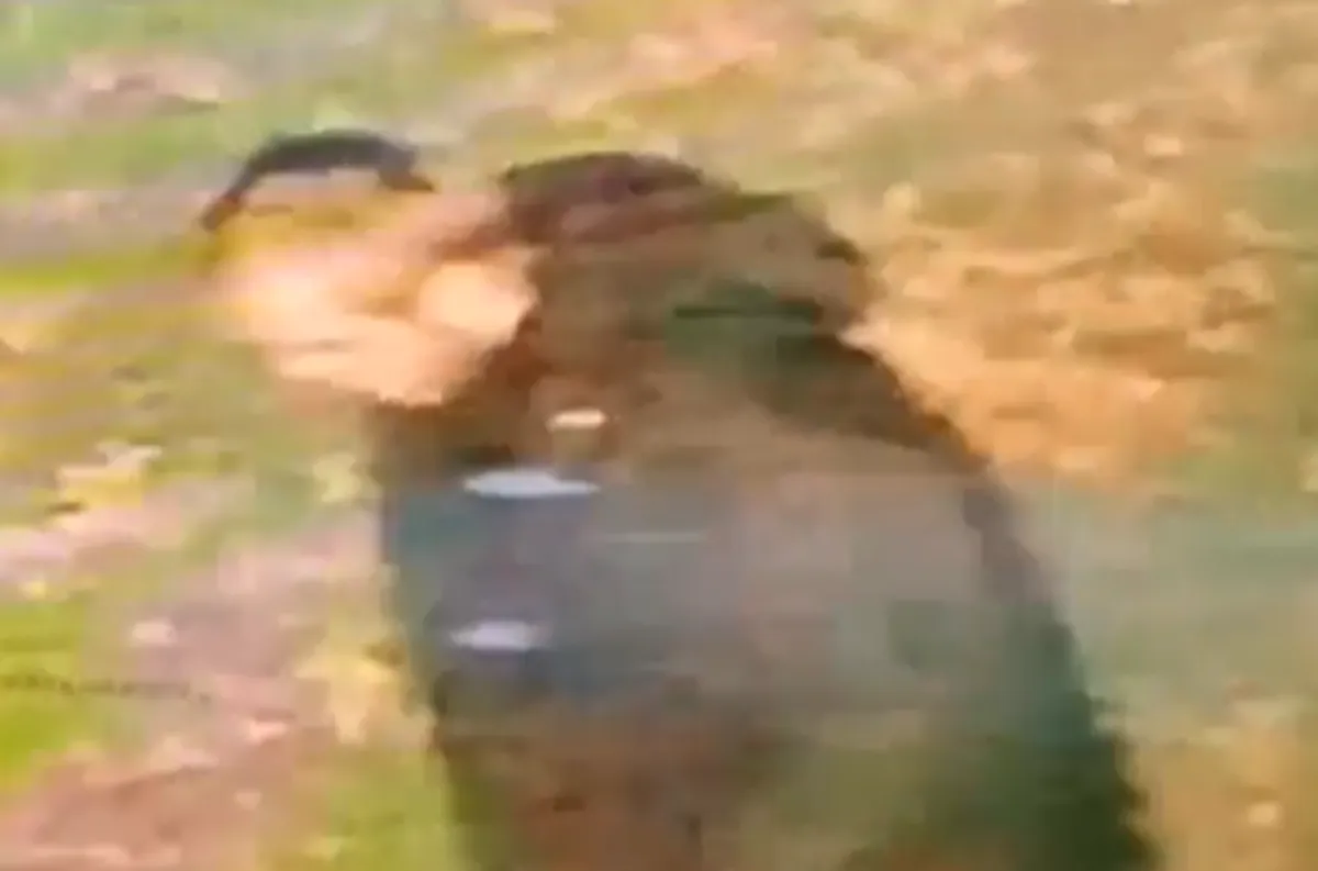 'Racially aggravated' rape of woman in Walsall sparks urgent CCTV appeal to identify suspect