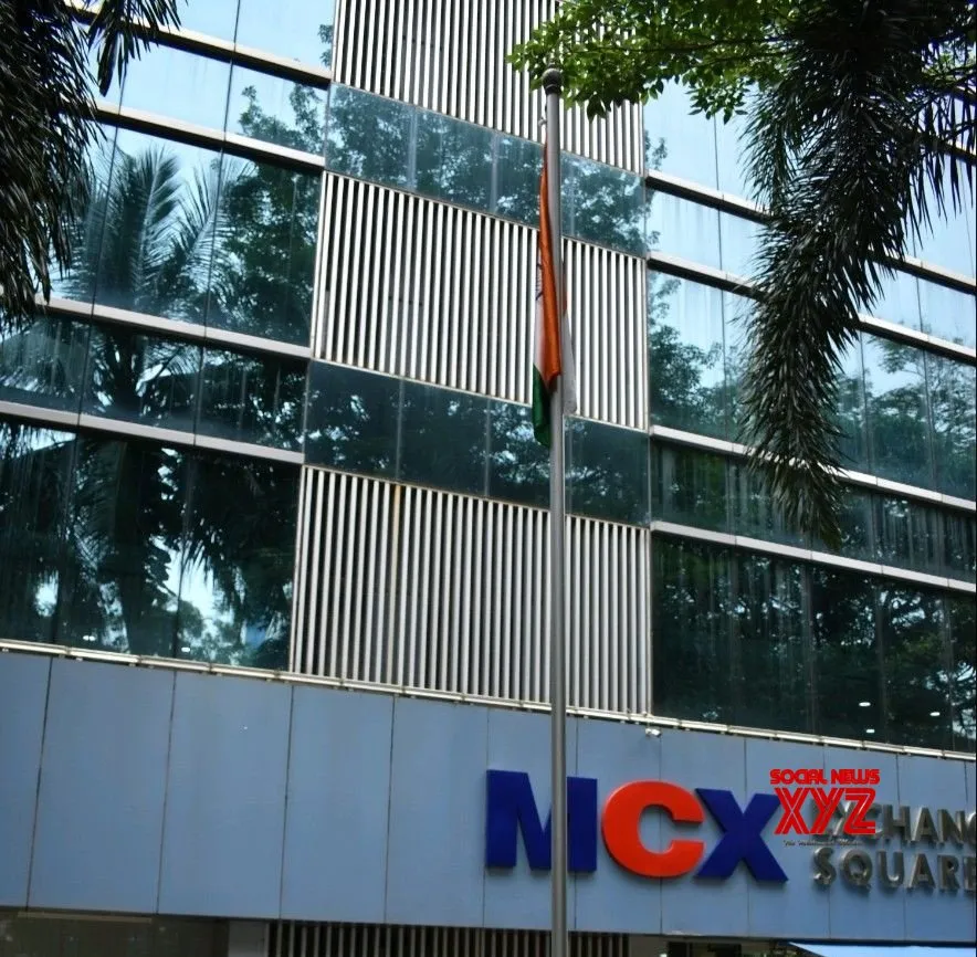 Predefined data parameter triggered 4-hour trading disruption: MCX