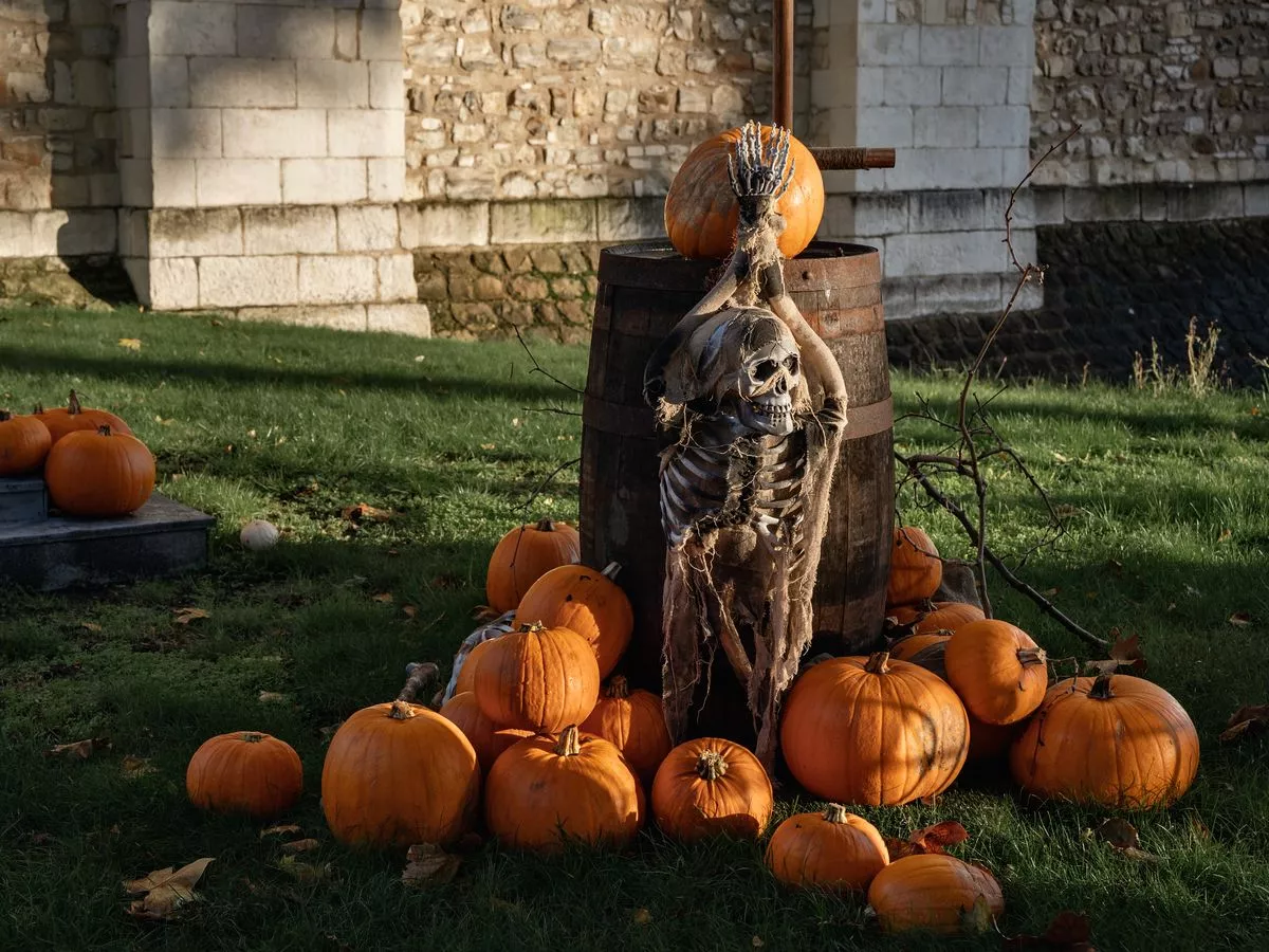 Gardener urges people to do one thing with pumpkins to help wildlife and gardens