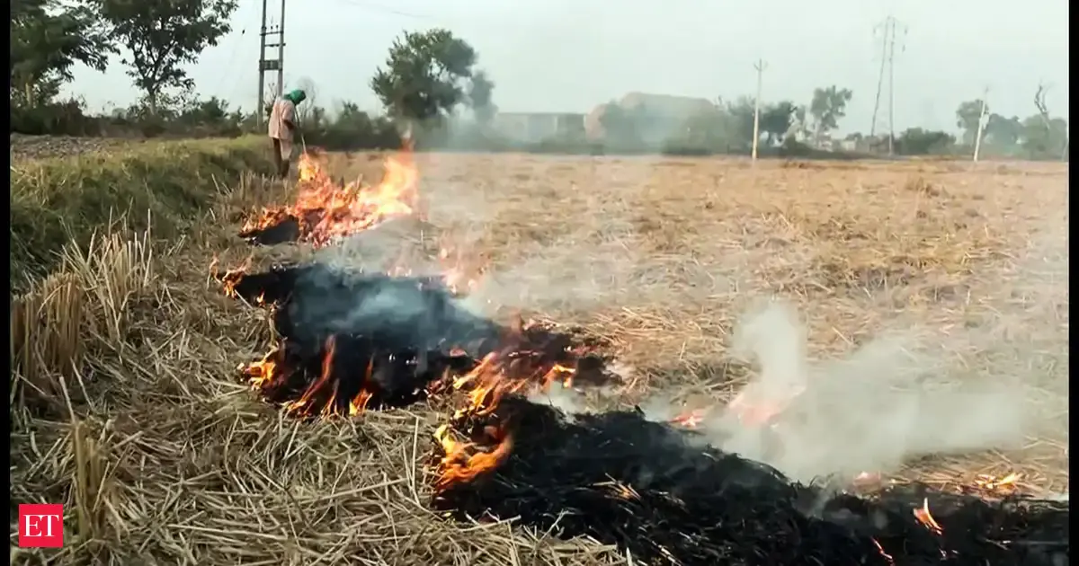 Punjab: 283 farm fires mark highest single-day spike