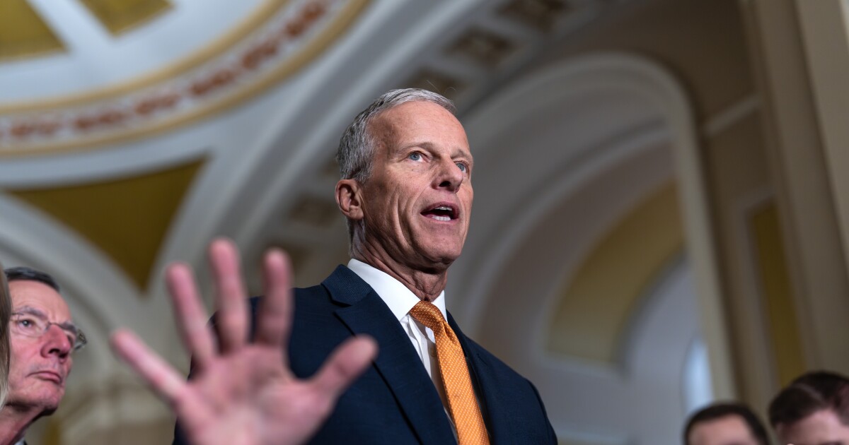 Thune blasts Democrats on Senate floor as shutdown hits day 30, SNAP benefits expire