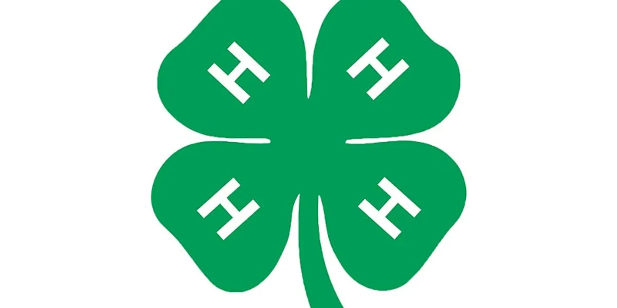 Mower County Fair 4-H results