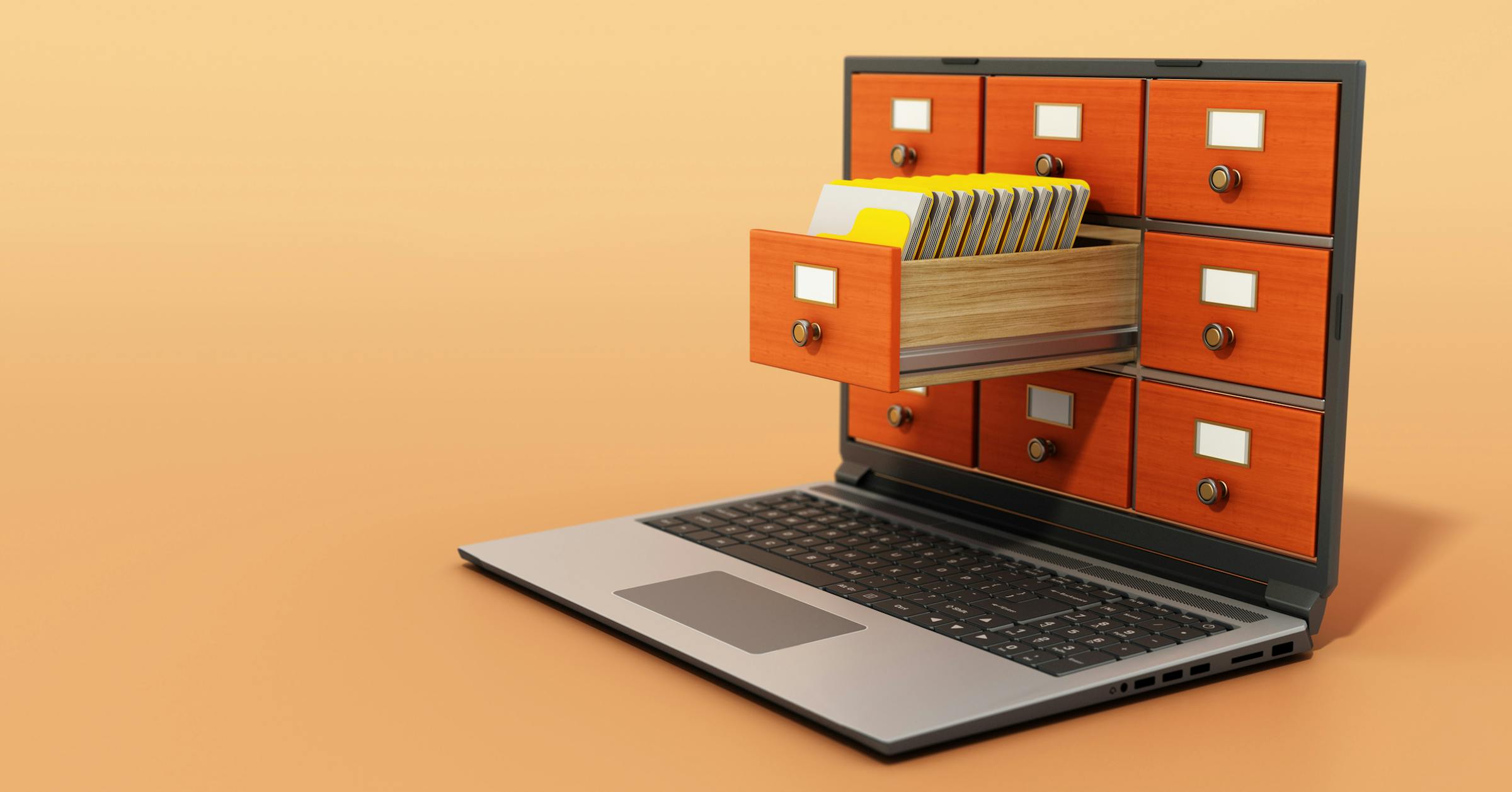 Counterpoint | Don’t cut off digital access to public information