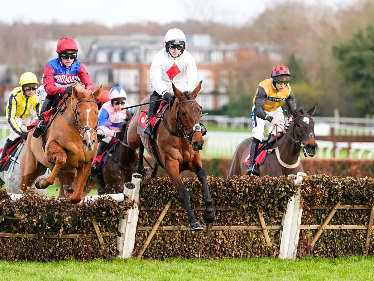 Half price tickets to Sandown Park Betfair Tingle Creek Festival