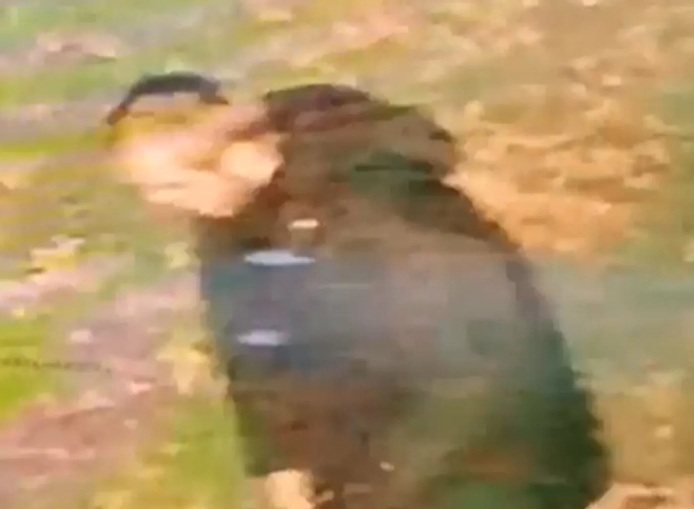 Police hunt white man in 30s after woman raped in ‘appalling racist attack’ in Walsall