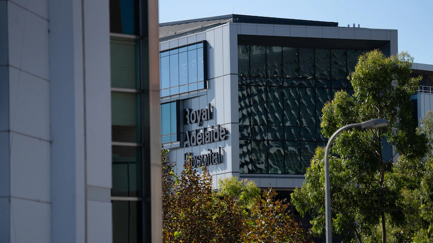 Emergency doctors say RAH admitted more patients than bed limit, SA Health denies claim