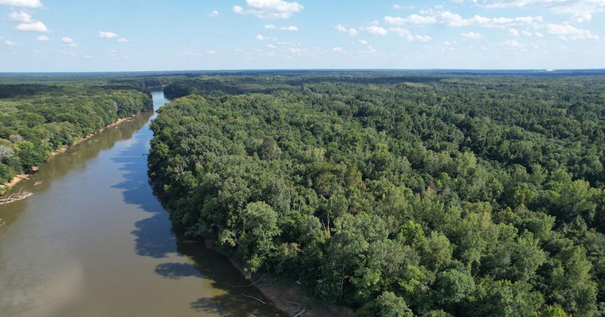 This SC public university is acquiring 8K acres of conservation land