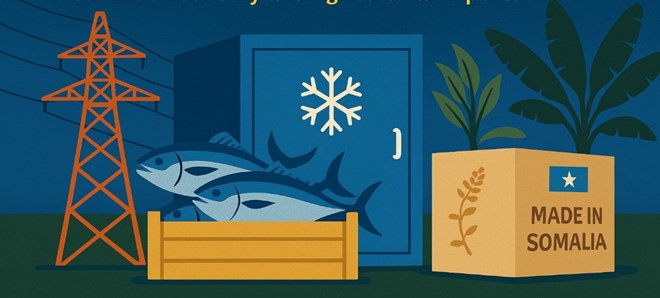 How Somalia’s MFA Can Pull the Country Out of Poverty