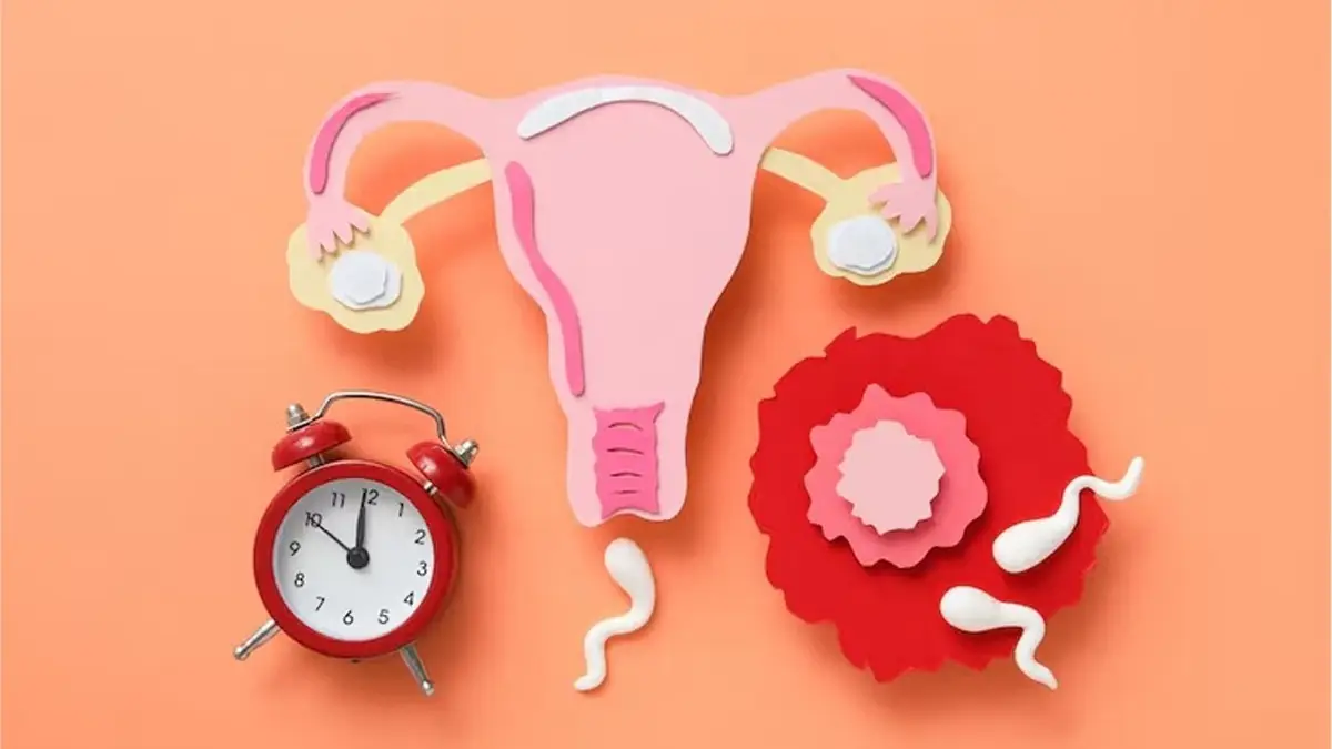 Can Poor Sleep Cycle Affect Fertility And Reproductive Health?