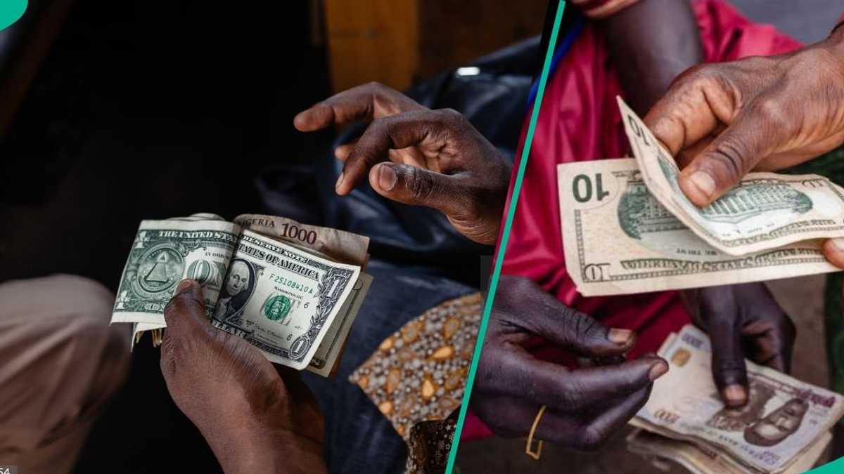 Check out latest exchange rate as dollar crashes to its lowest level in 2025