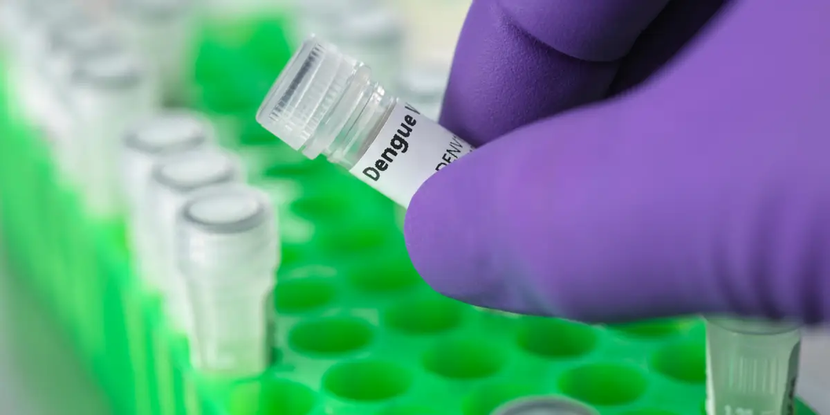 Emerging Infectious Diseases: Key Facts and How to Prevent Them