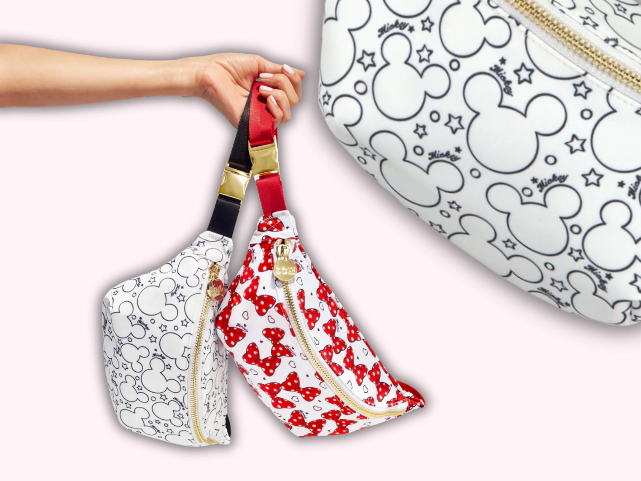 What is the best bag for Disney World