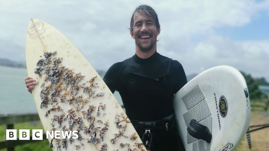 Lost surfboard in Tasmania drifts more than 2,400km to New Zealand