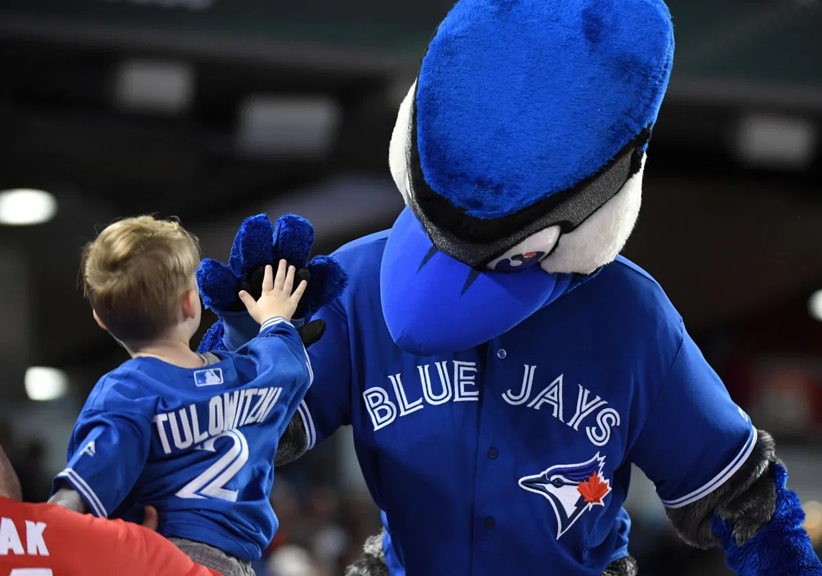 Why Is the Toronto Blue Jays Mascot Called Ace? How Much Does He Make?