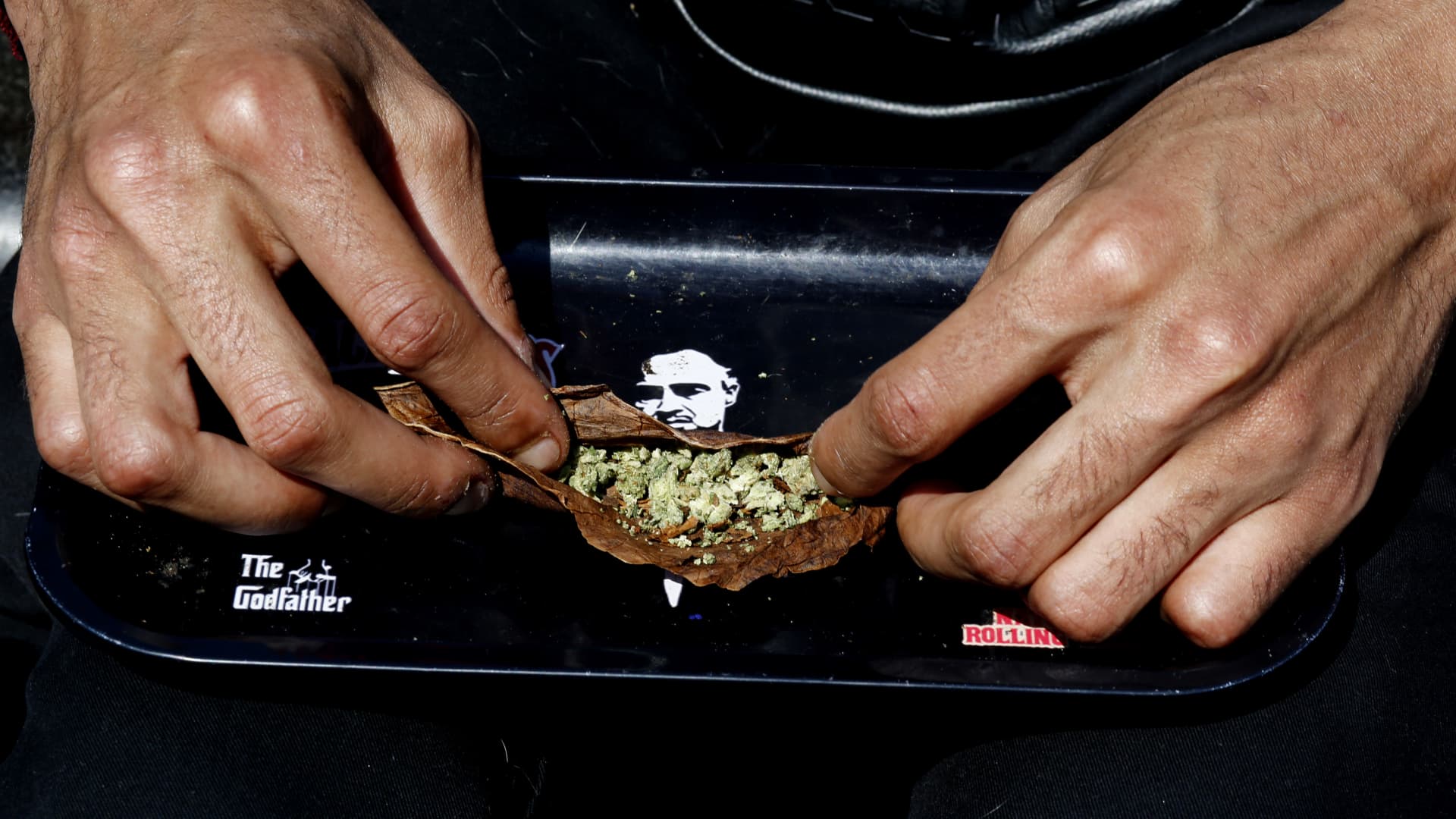 'Trump effect' raises hopes for cannabis rally