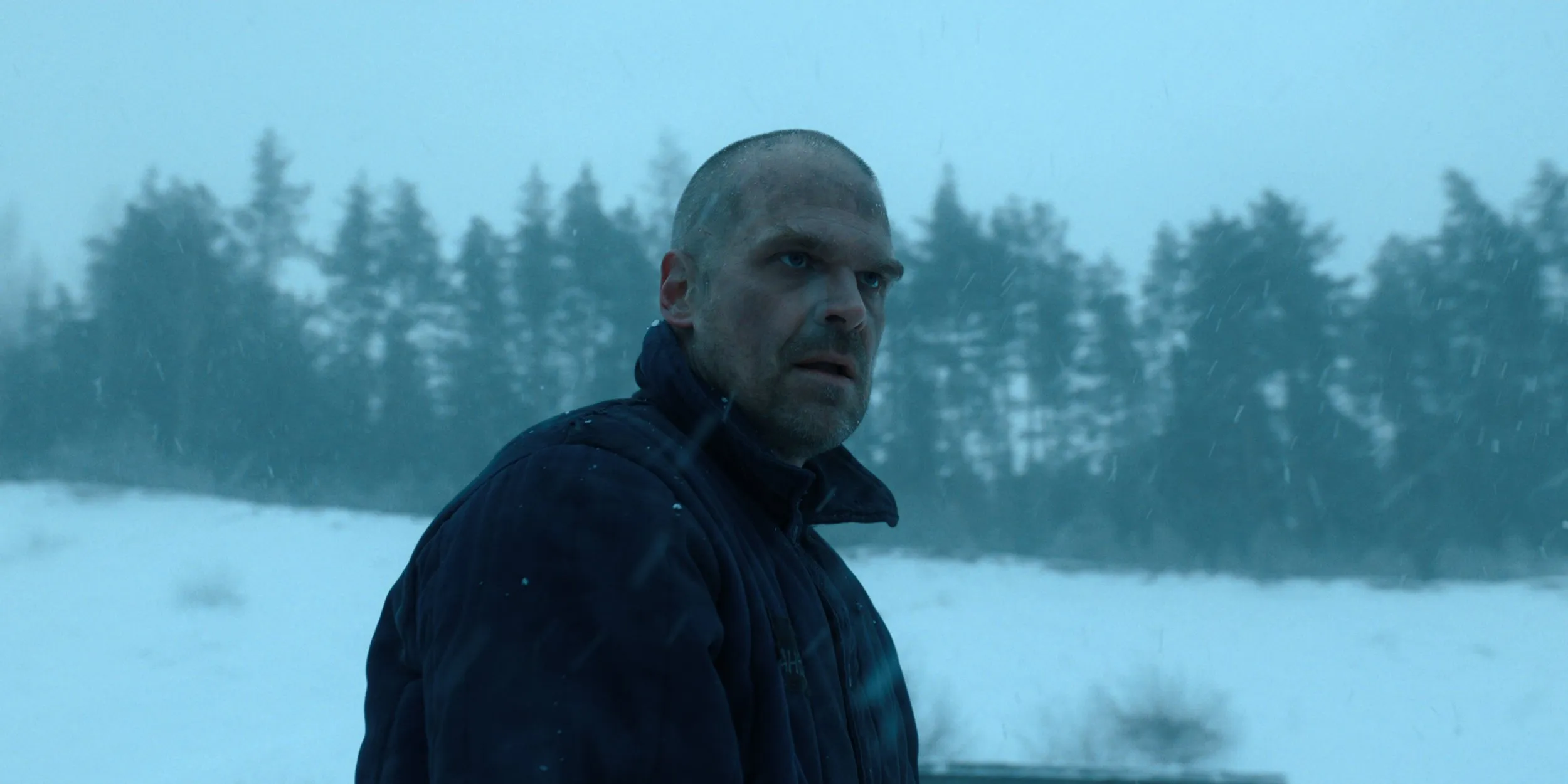 Where is David Harbour? Stranger Things fans ‘baffled’ by season 5 absence