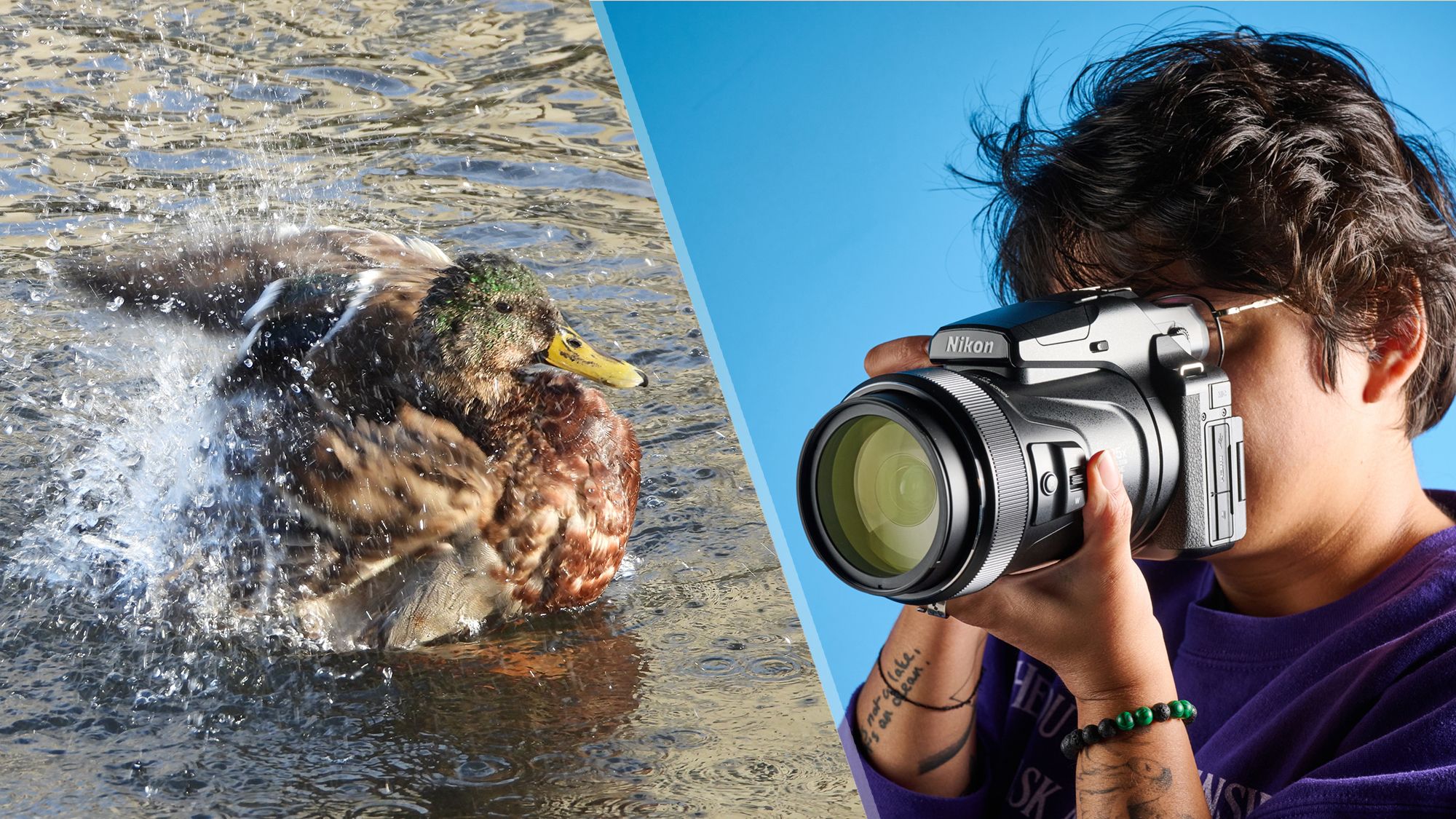 This $1,100 camera beats out $10,000 super telephoto lenses for wildlife photography, and I've taken some of my best photos yet