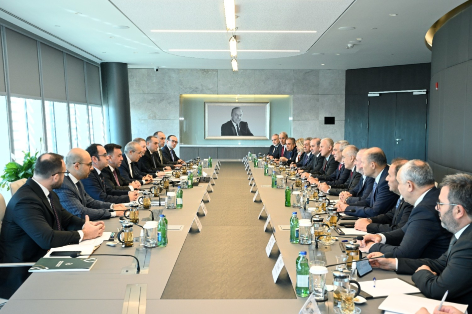 Azerbaijan, Türkiye discuss investment cooperation (PHOTO)