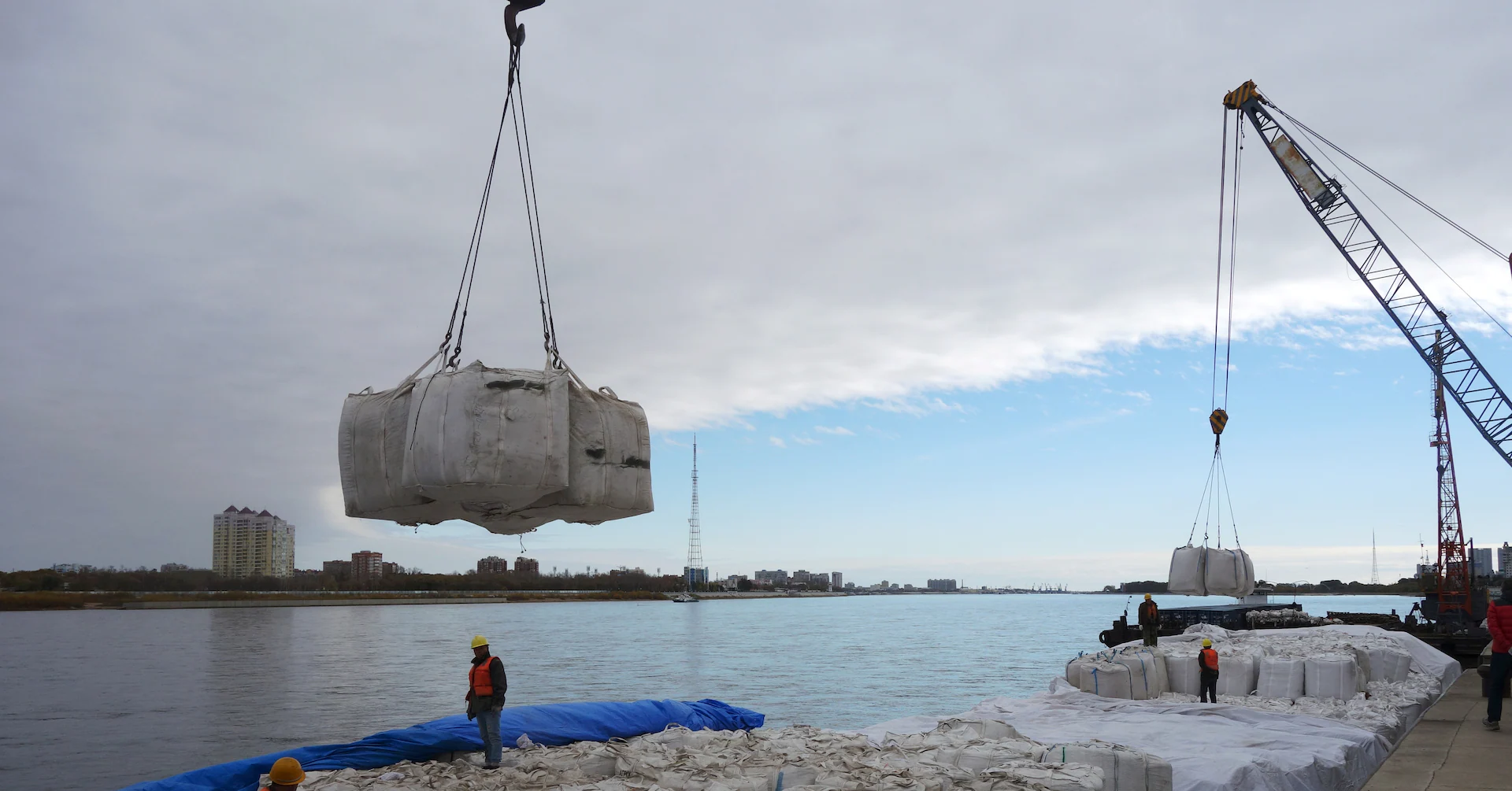 Russia's non-GMO soybeans exports to China safe despite Trump-Xi trade deal, source says