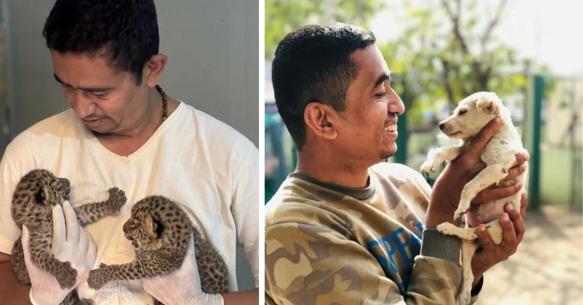 From Tigers to Vultures: How One Team in Wardha Has Rescued & Treated 40,000 Wild Animals