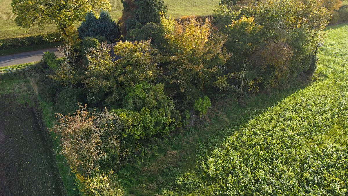 Estate agents mocked after listing bungalow for £110K