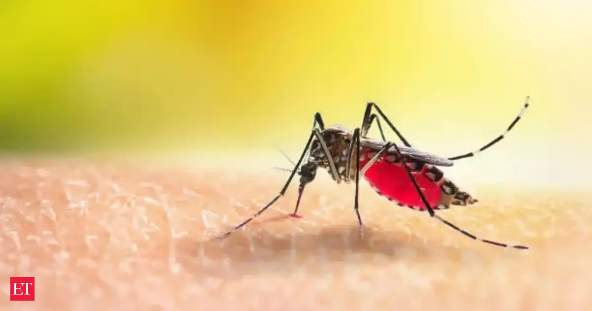 Manipur reports 129 new dengue cases; tally rises to 3,594 this year