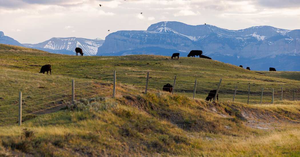 Republicans in Congress Show Signs of Heartburn Over Trump’s Trade War