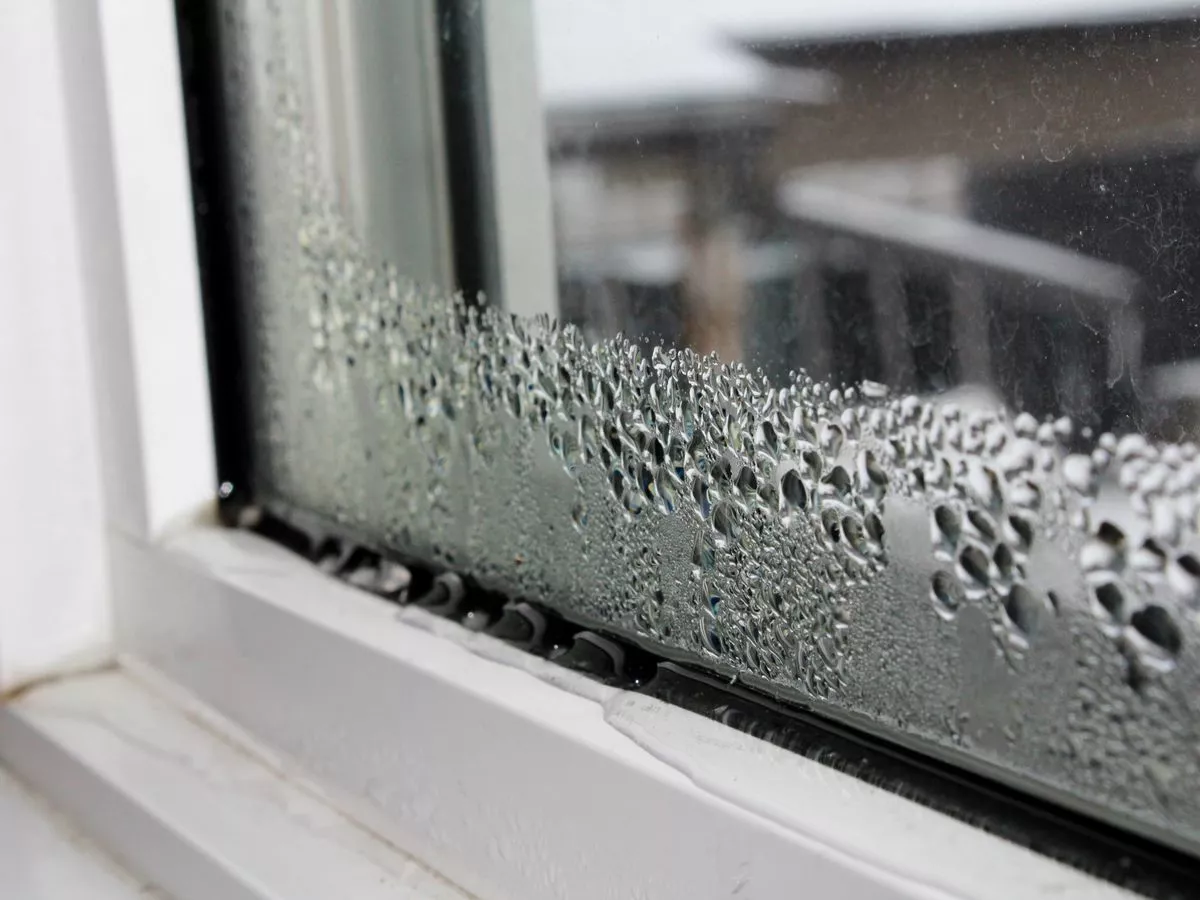 Why you get condensation on windows every morning and easy way to prevent it