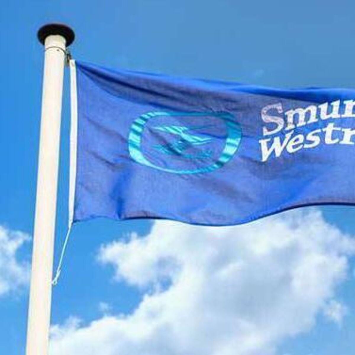 Smurfit Westrock cuts profit forecast in 'challenging' environment