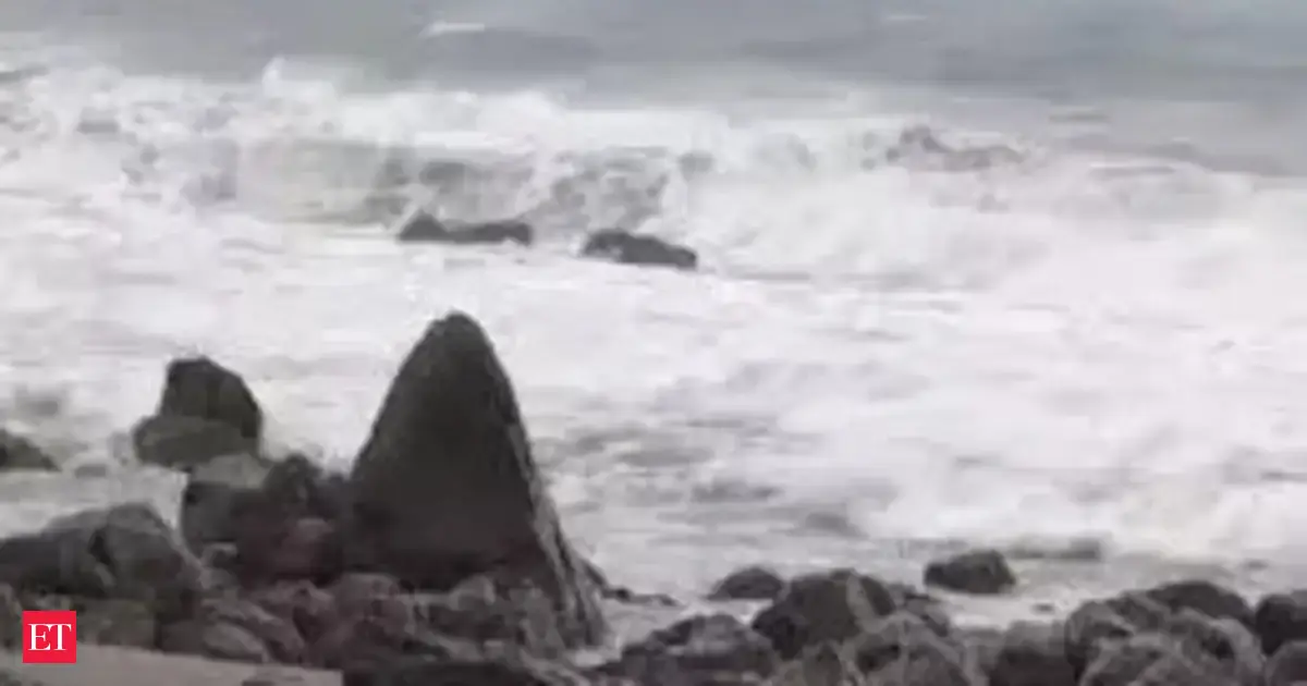 Cyclone Montha: Two dead in Andhra, crops suffer damage, CM Naidu says state minimised loss