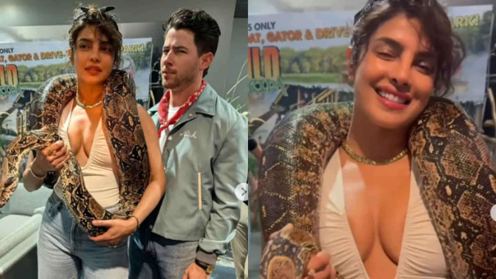 Priyanka Chopra Cradles Massive Snake Around Her Neck, Nick Jonas Looks Concerned | Watch