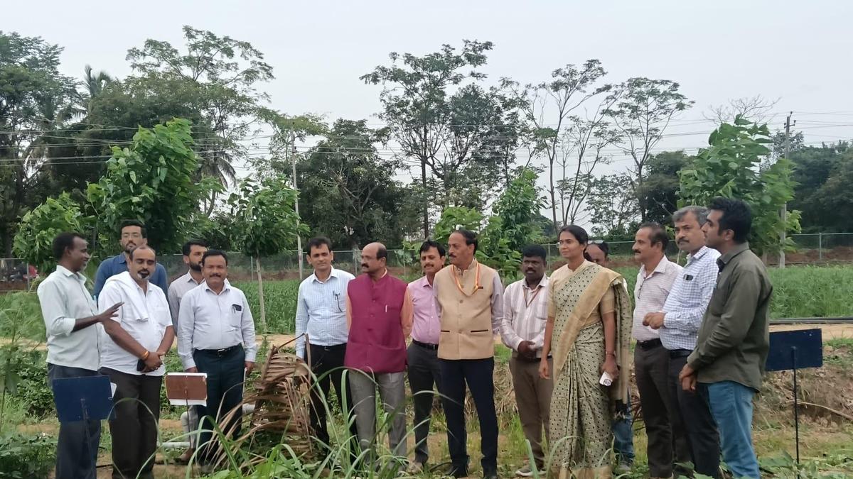 4,250 acres to come under natural farming in Karnataka’s Mandya dist.