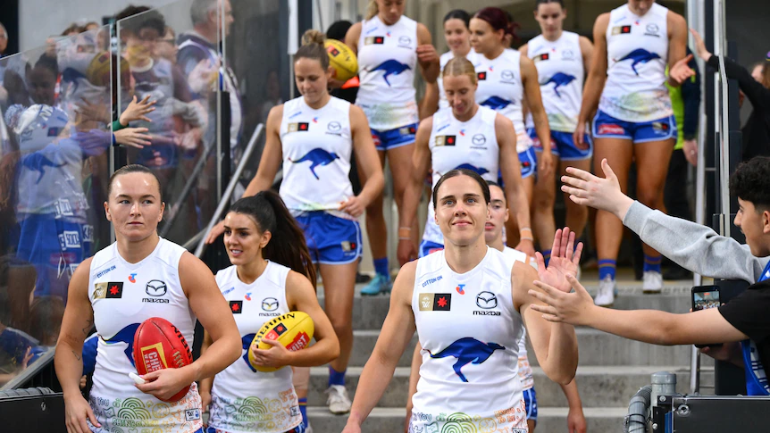 Watching North Melbourne's dominance 'a privilege not a punishment'