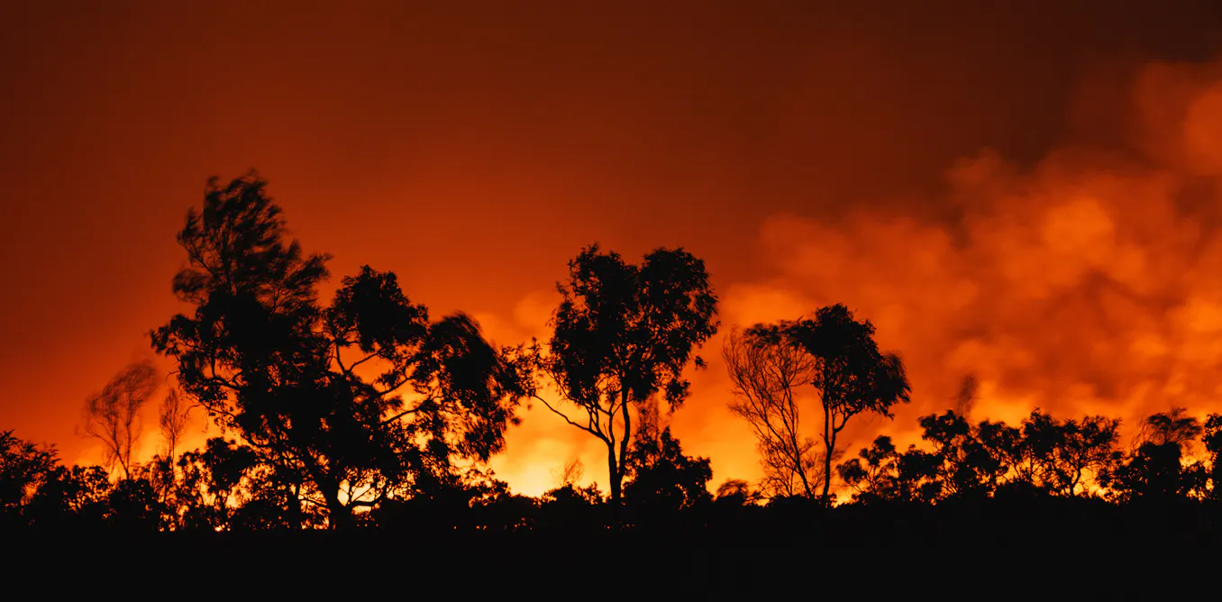 In 2024, the climate crisis worsened in all ways. But we can still limit warming with bold action