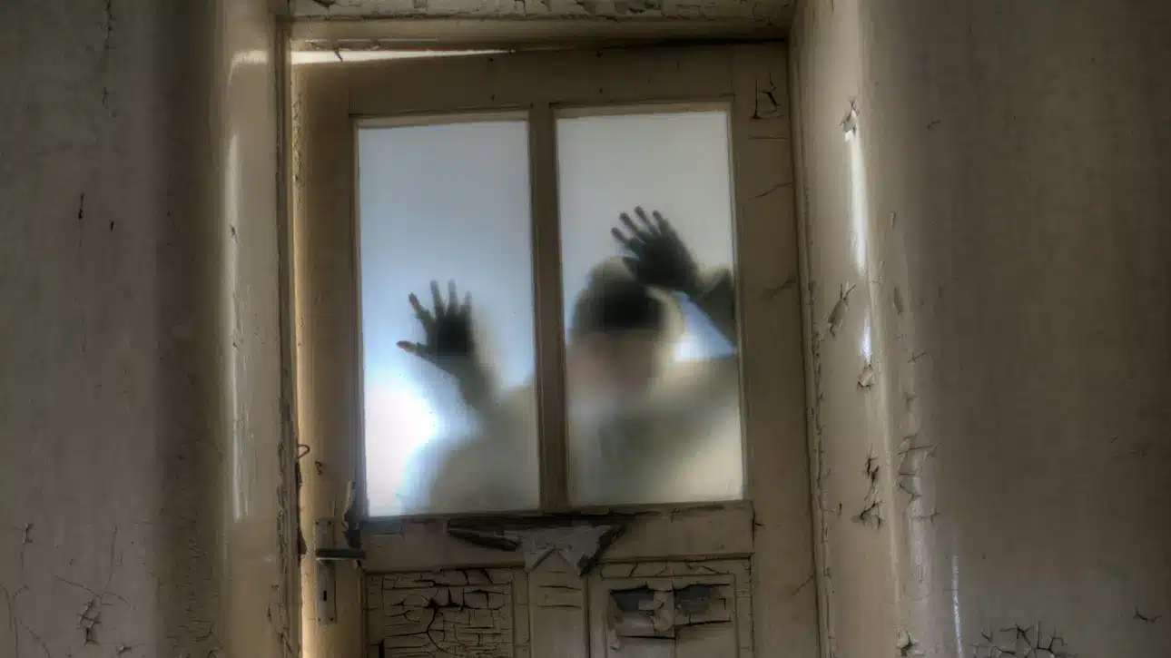 12 Horror Movies That Burrow Into Our Psyches