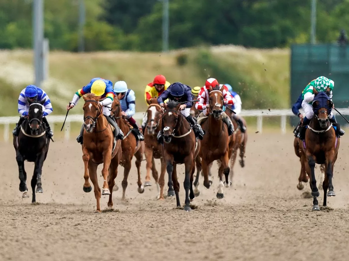Newsboy’s horseracing tips for Thursday’s five meetings, including Chelmsford Nap