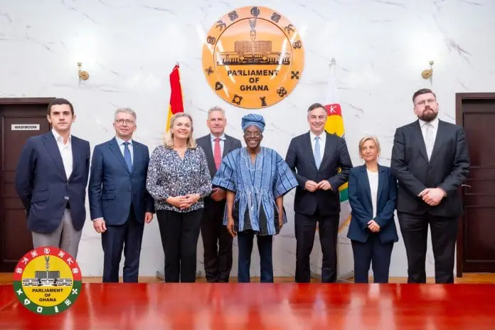 European Parliament Delegation Urges Ghana to Assess China Trade Carefully