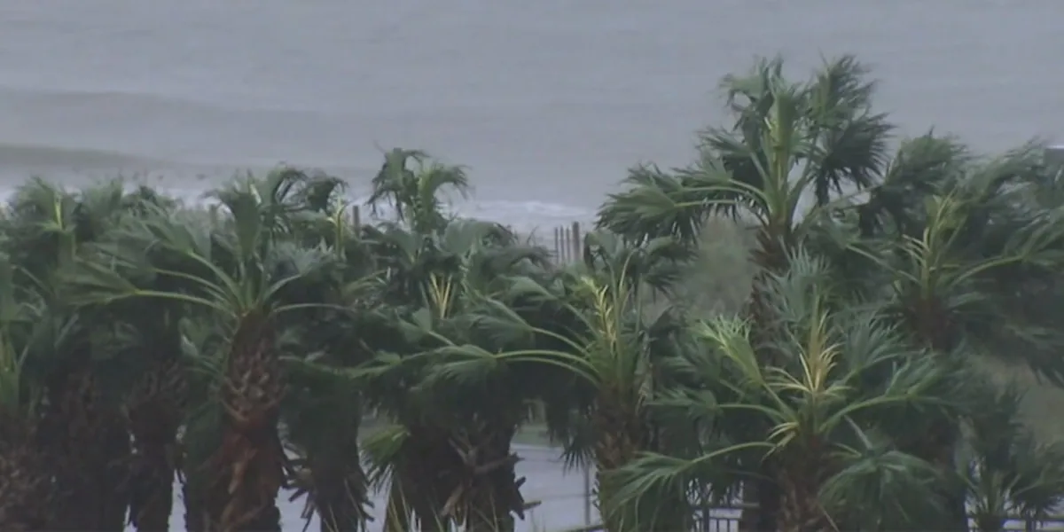 Charleston-area woman navigating return from Jamaica following Hurricane Melissa