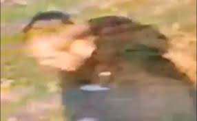 UK Police issues urgent appeal after woman’s ‘racially aggravated’ rape